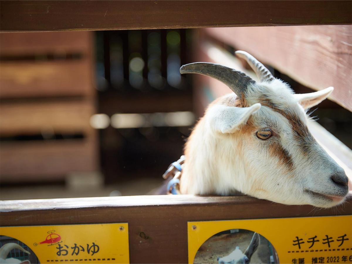 Hotel Murasakimura Yomitan Esterno foto